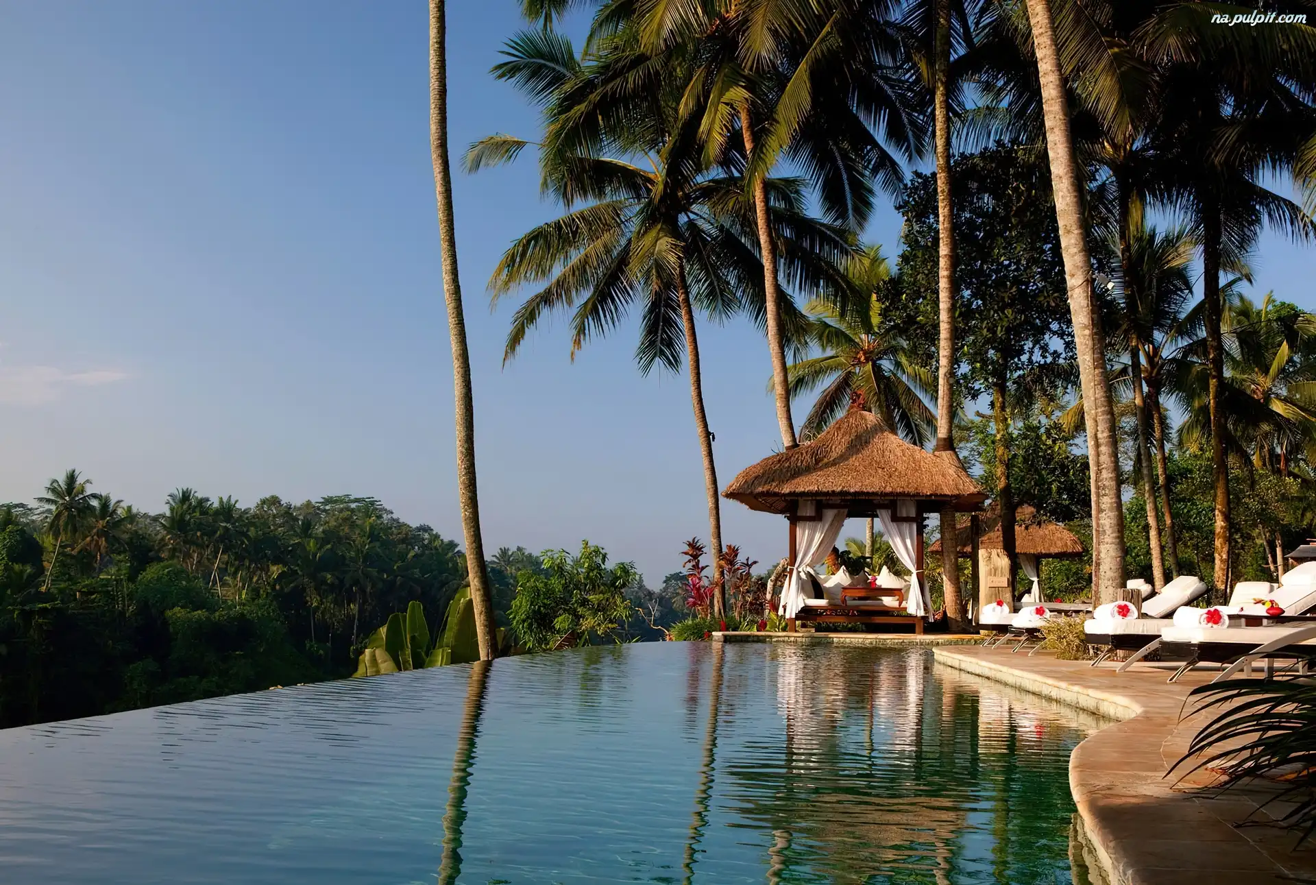 Dżungla, Basen, Palmy, Hotel, Bali, Viceroy